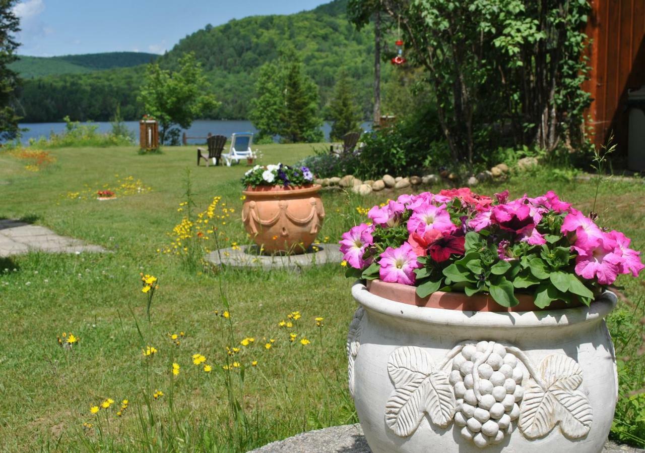 Motel Ours Bleu Lac-Saguay Exteriér fotografie